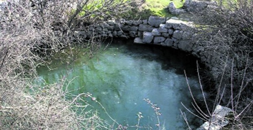 Zaštita životne sredine