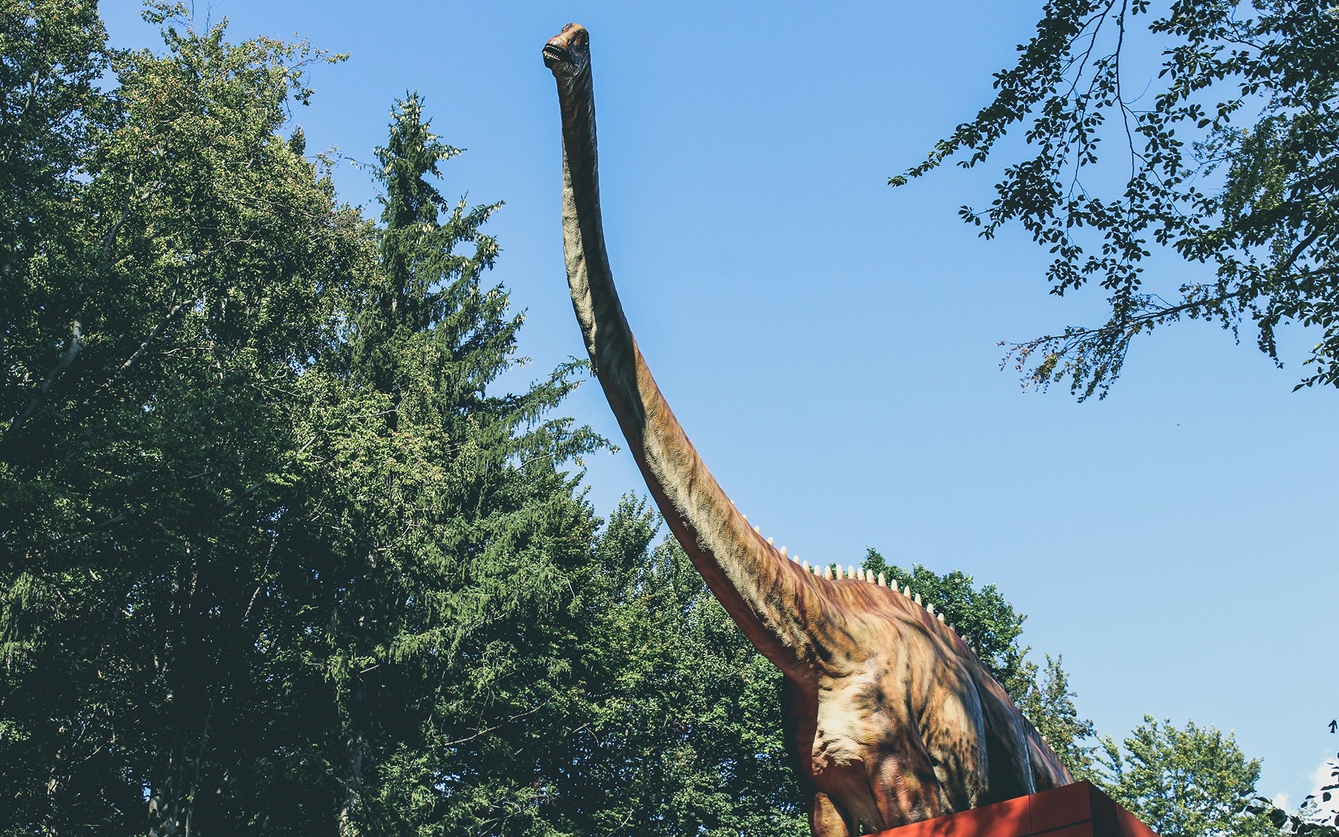 Nevtáčie druhy dinosaurov boli vyhubené v priebehu jedného dňa.