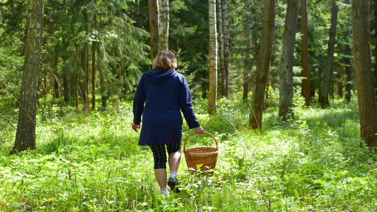 Grzybiarze powinni uważać. Pokazała, co znalazła w trawie