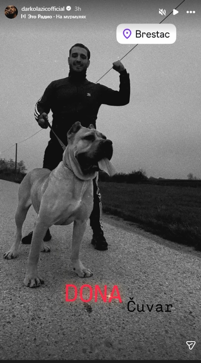 Darko Lazić (Foto: Instagram/darkolazicofficial)