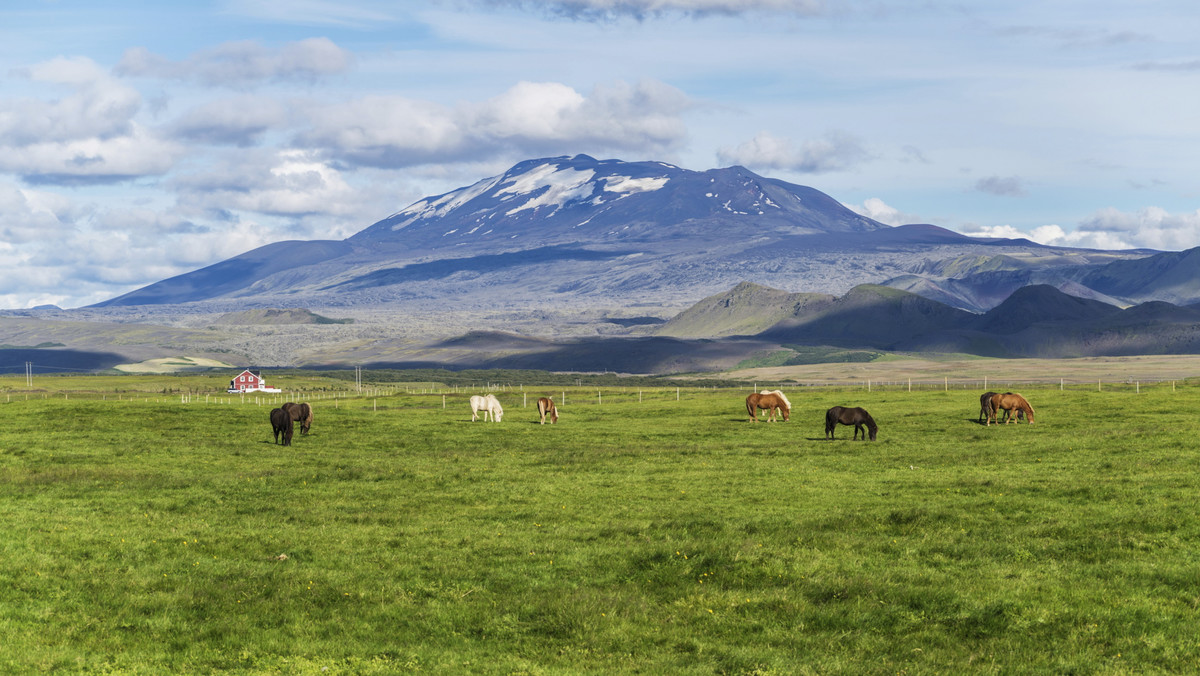 Hekla, najwyższy i jeden z najbardziej aktywnych wulkanów na Islandii, może wkrótce wybuchnąć - poinformował o tym w rozmowie z Morgunblaðið Páll Einarsson, profesor geofizyki na Uniwersytecie Islandzkim.