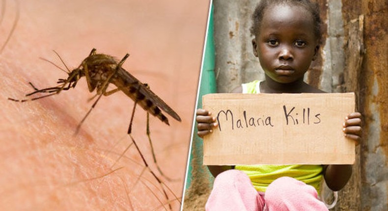 Malaria is a deadly disease 