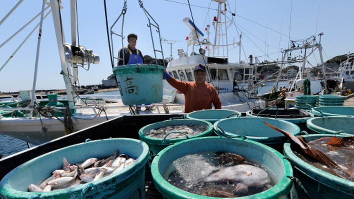 Naukowcy zamierzają pobrać i przetestować nowe próbki tuńczyka błękitnopłetwego. Jak się okazało, w rybach złapanych u wybrzeży Kalifornii w 2011 roku odkryto niskie poziomy radioaktywnego cezu pochodzącego z japońskiej elektrowni Fukushima Daiichi.