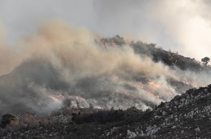 Fala pożarów w Hiszpanii. Władze mówią o "terrorystach ognia"