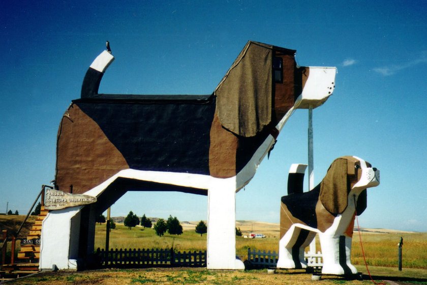 Najdziwniejsze hotele na świecie - Dog Bark Park Inn