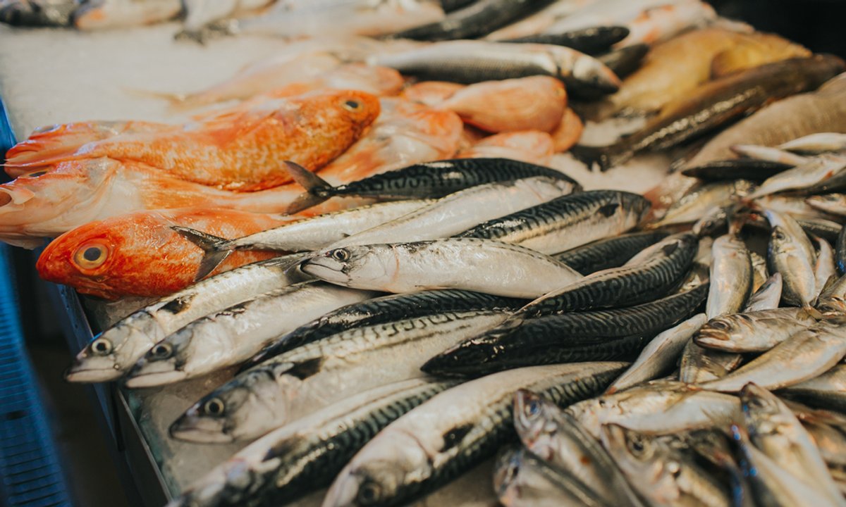 Ta ryba to "morski kurczak". Jest zdrowa, smaczna i kosztuje tylko 3 zł za 100 g