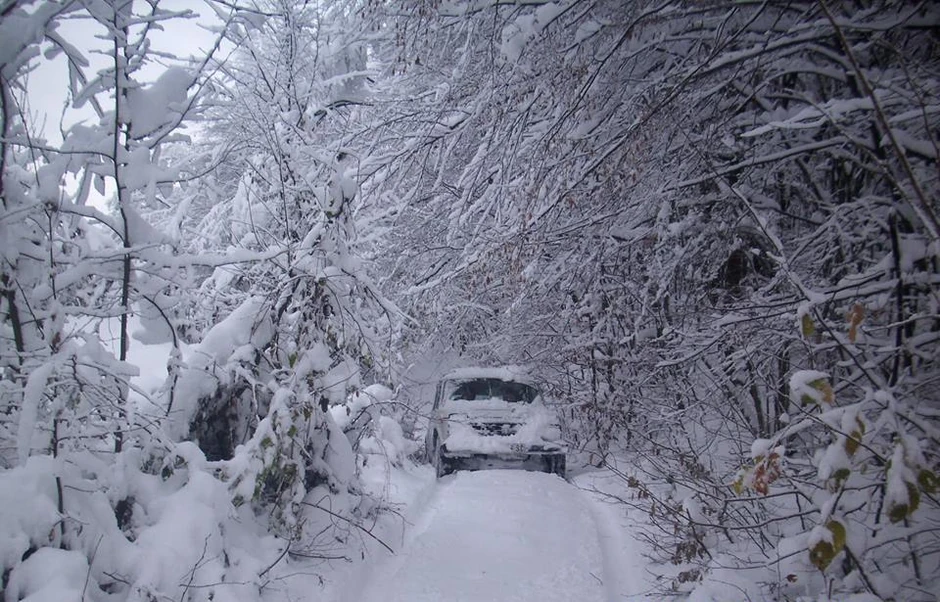 Ivanjica Sneg06_170116_RAS foto Beba Bojovic