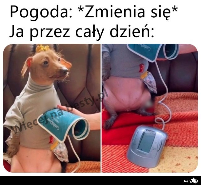 Najlepsze memy o pogodzie w marcu