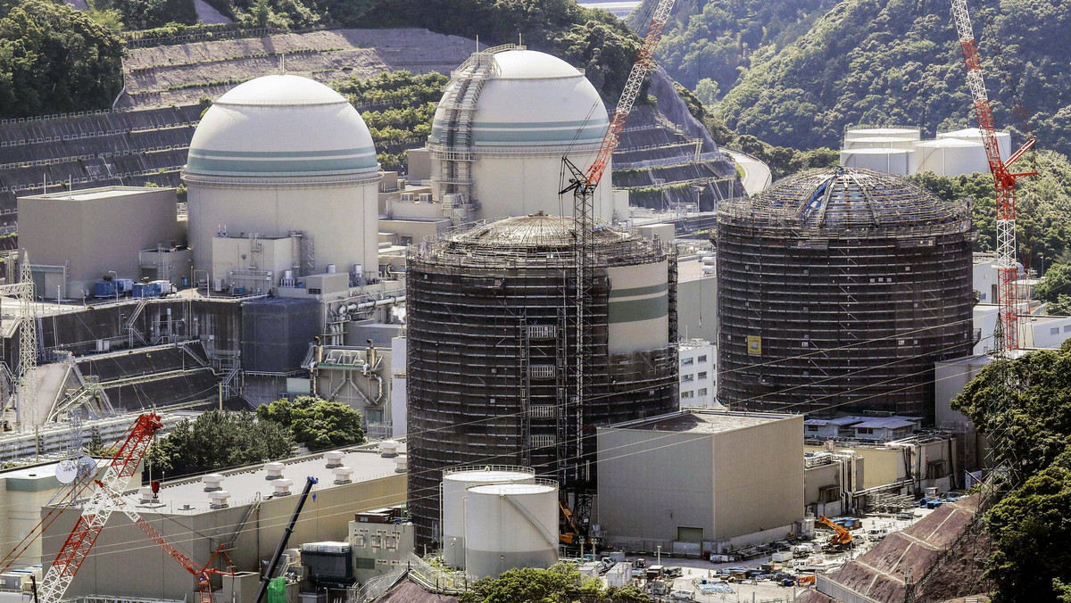 Alert w japońskiej elektrowni atomowej. Prace wstrzymane