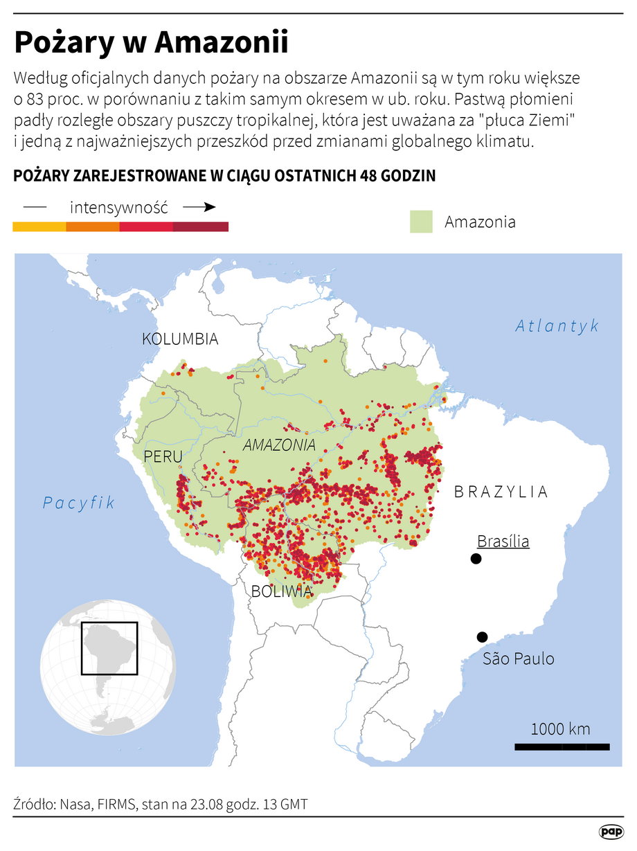 Skala pożarów w Amazonii