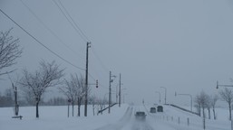 zimno w szkole. kiedy dyrektor może zawiesić zajęcia