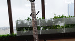 Gitara AC/DC - 4
