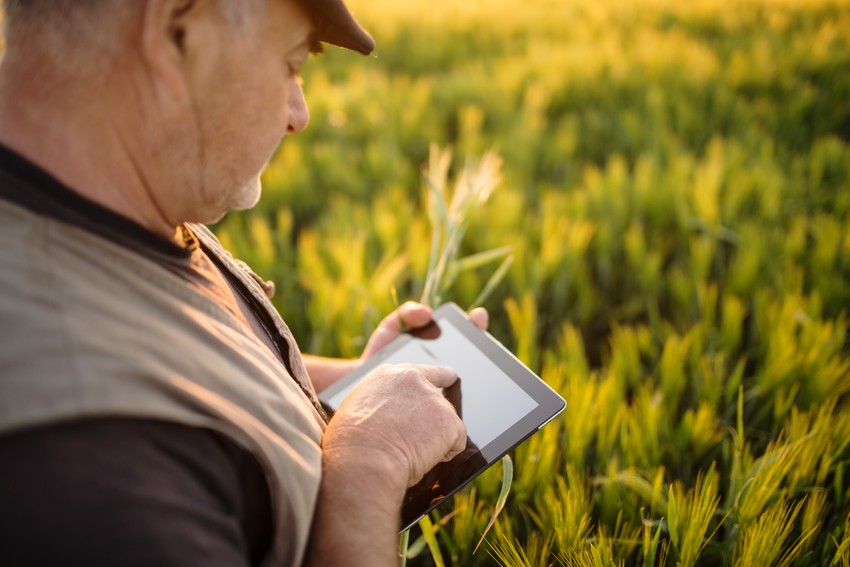 Interesovanje za veće zasade pistaća nije veliko