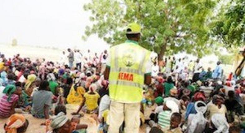 NEMA recorded 410 births, 187 marriages at IDP camps in 2 months - official