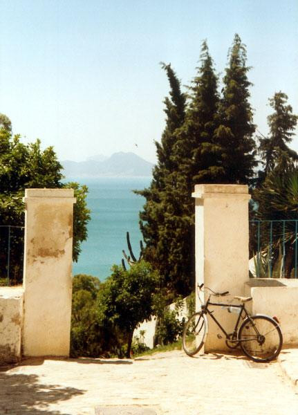 Galeria Tunezja - Sidi Bou Said, obrazek 11