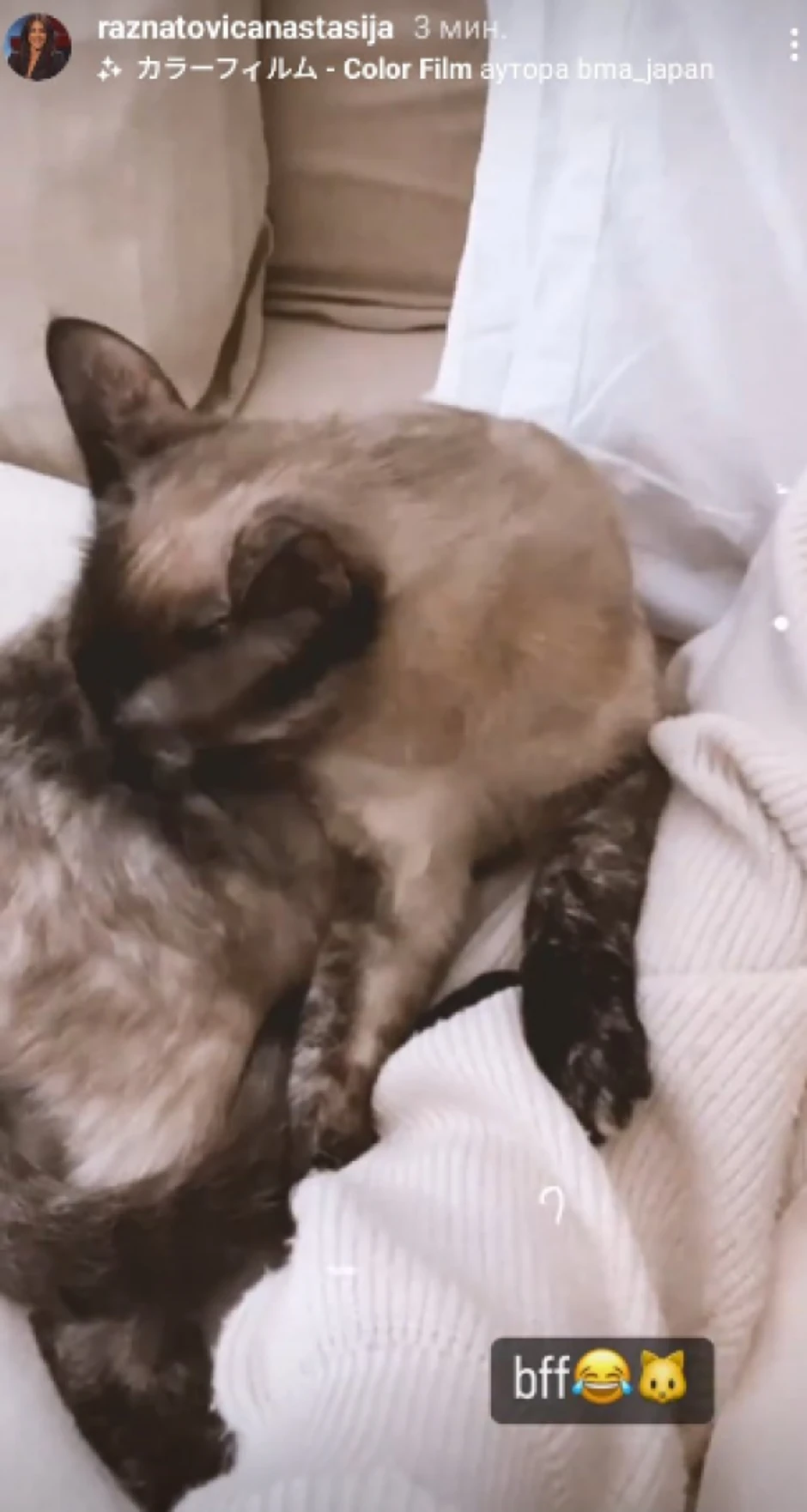 Anastasija Ražnatović