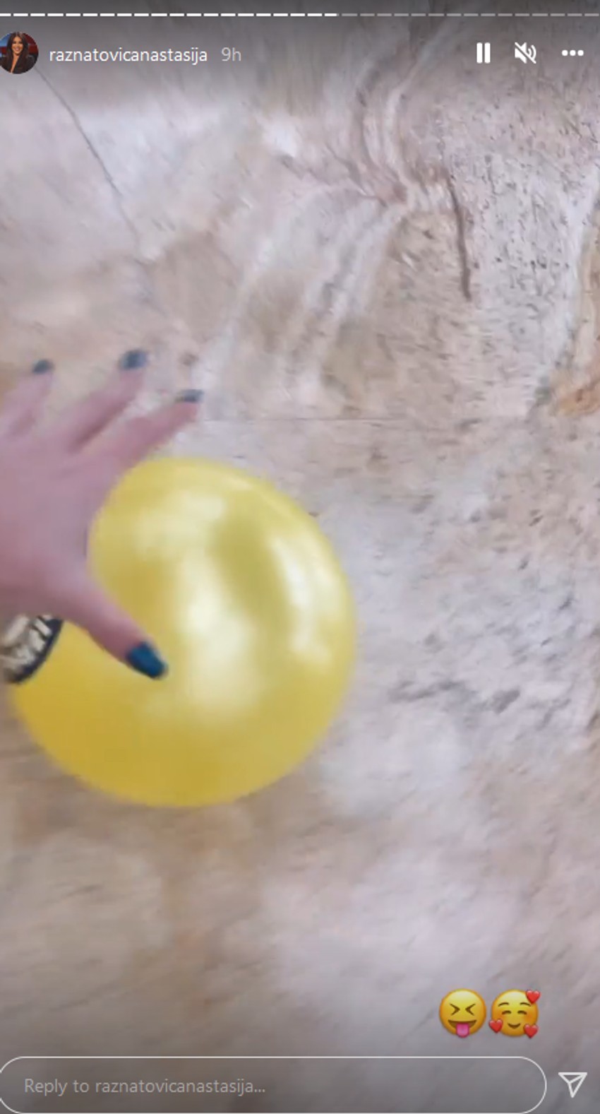 Željko Ražnatović 