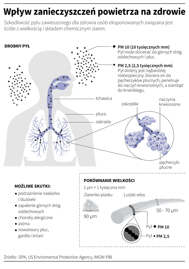Wpływ smogu na zdrowie - infografika