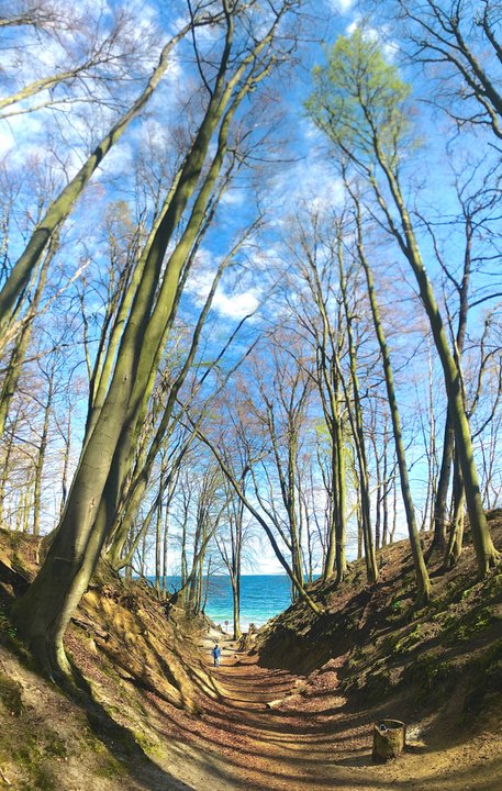 Do plaży Redłowskiej na której znajdują się m.in. historyczny bunkier i  kamienna wieża, prowadzi malowniczy wąwóz 