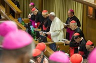 Synod 2014, biskupi, papież,  Franiciszek