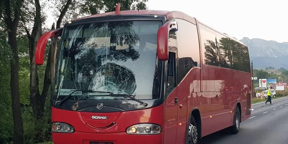 Tragedia na zakopiance. Autobus śmiertelnie potrącił 26-latkę