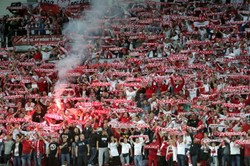 MSZ zajął się sprawą polskiego kibica, który został brutalnie potraktowany przez duńską policję [WIDEO]