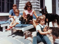 Grecka tragedia Kennedych