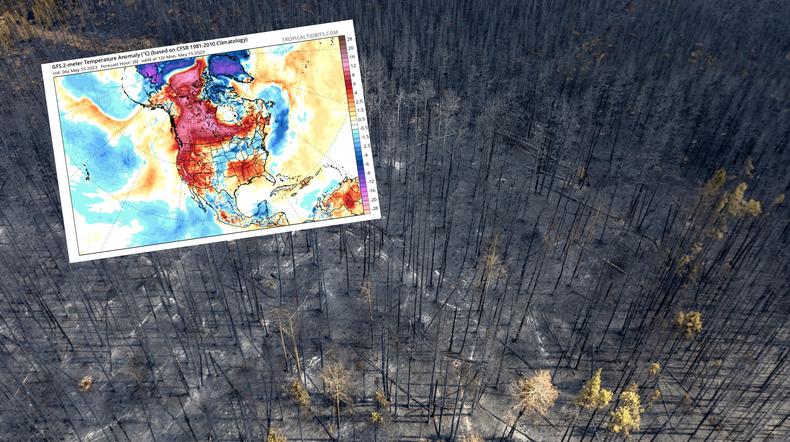 Kanada boryka się z ogromnymi pożarami i wyjątkowo wysoką temperaturą (mapa: tropicaltidbits.com)