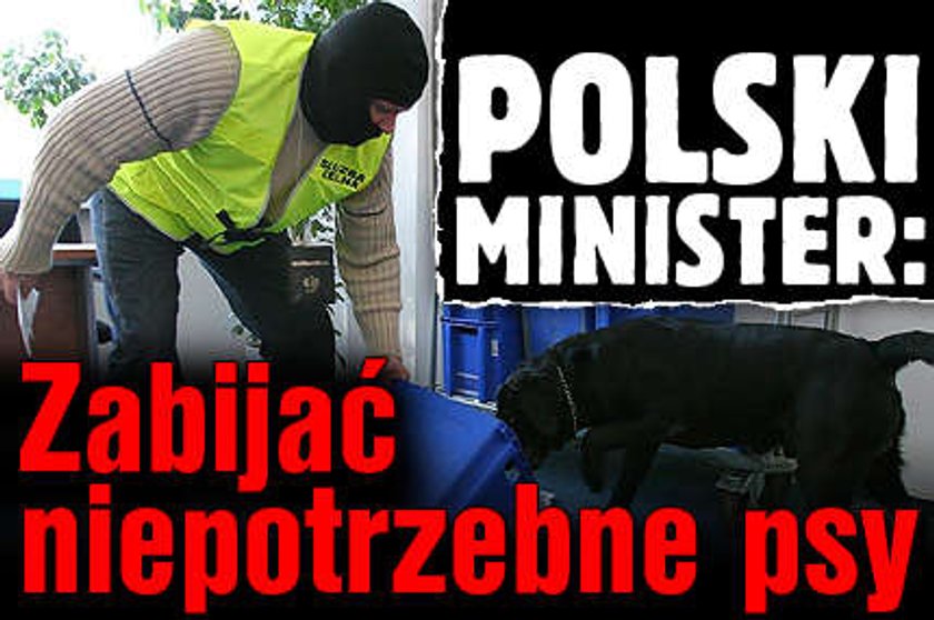 Polski minister: Zabijać niepotrzebne psy