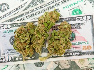 marihuana, pieniądze, dolary