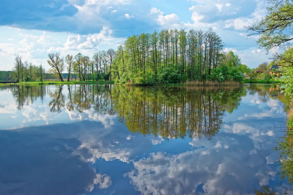 Puszcza Białowieska