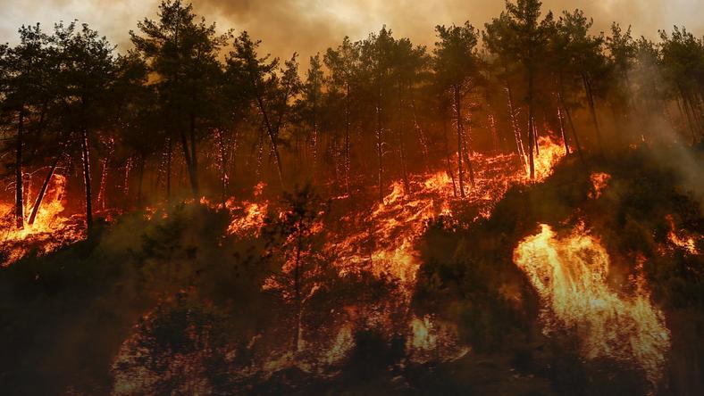 Od tygodnia tureccy ratownicy walczą z pożarami lasów i osiedli