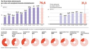 Kryzys gospodarczy nie zdziesiątkował małych firm
