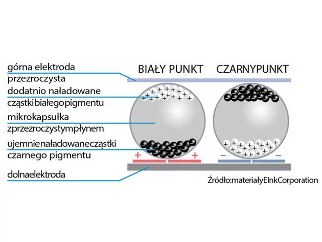 Zdjęcie nr 1