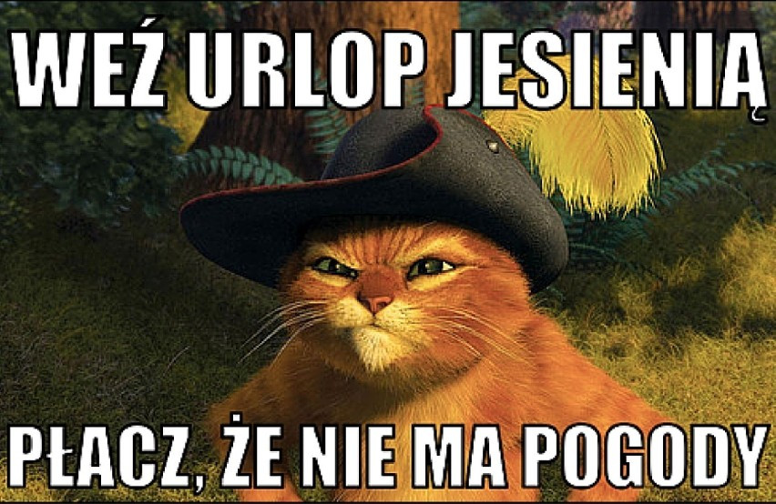 Memy o jesieni