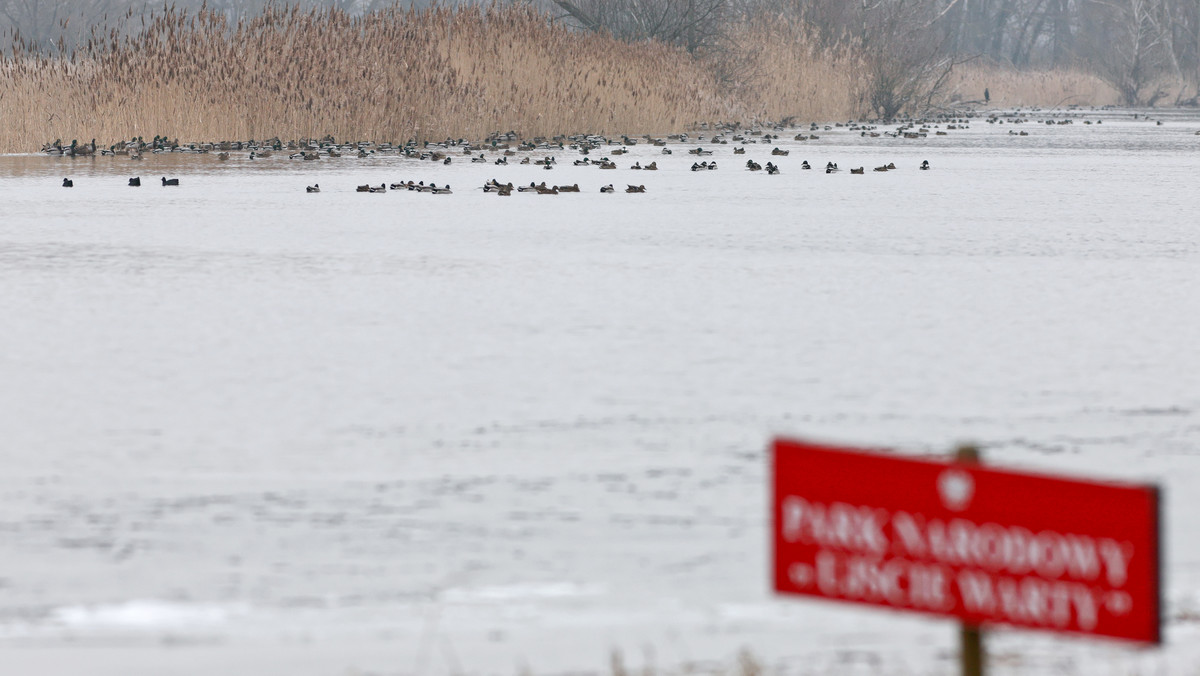 Słońsku: trwa budowa ośrodka muzealno-edukacyjnego w parku "Ujście Warty"