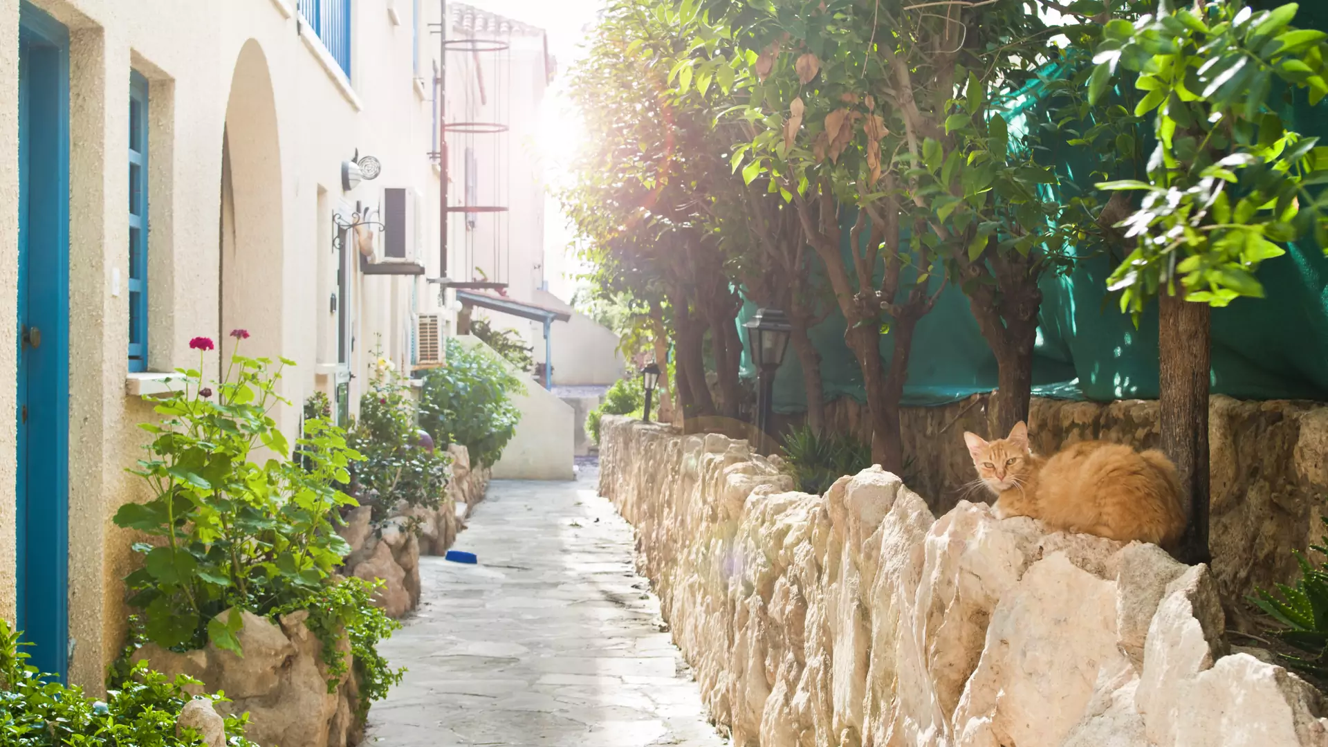 Wakacje na wyspie pełnej kotów — najpiękniejsze miejsca na Cyprze