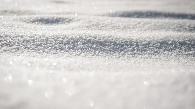 Hull a hó a Bakonyban. Illusztráció: pexels
