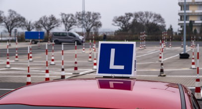 Wiemy, gdzie najłatwiej zdać prawo jazdy, a które miasta lepiej omijać szerokim łukiem. Warto to wiedzieć!