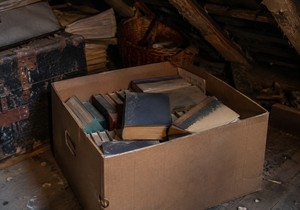 Ovu knjigu smo svi imali početkom 2000-ih, a danas vredi 20.000 evra