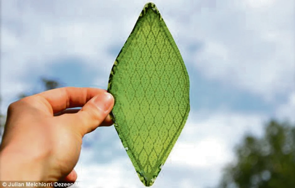 Veštački list foto: Printskrin Vimeo/Dezeen mini frontiers
