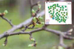 IMGW: Piątek z umiarkowanym zachmurzeniem, bez opadów w większości kraju