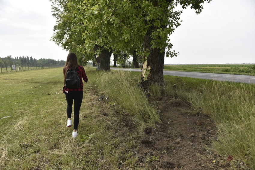 Automobil je sleteo sa puta i udario u drvo