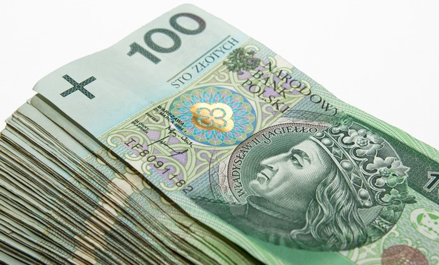 Polski złoty (fot. ShutterStock)