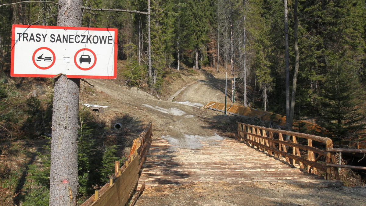 Podczas wycinki drzew nie doszło do degradacji środowiska naturalnego. Tak orzekł dziś Sąd Rejonowy w Muszynie w sprawie biznesmena Ryszarda F., jednego z najbogatszych ludzi w Polsce.