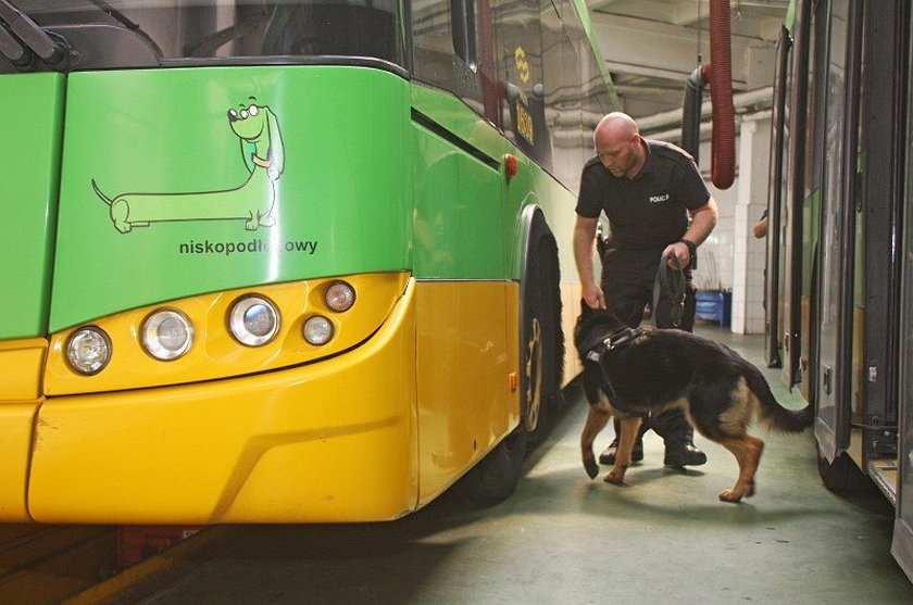 Psy policyjne odbyły szkolenie w autobusach MPK
