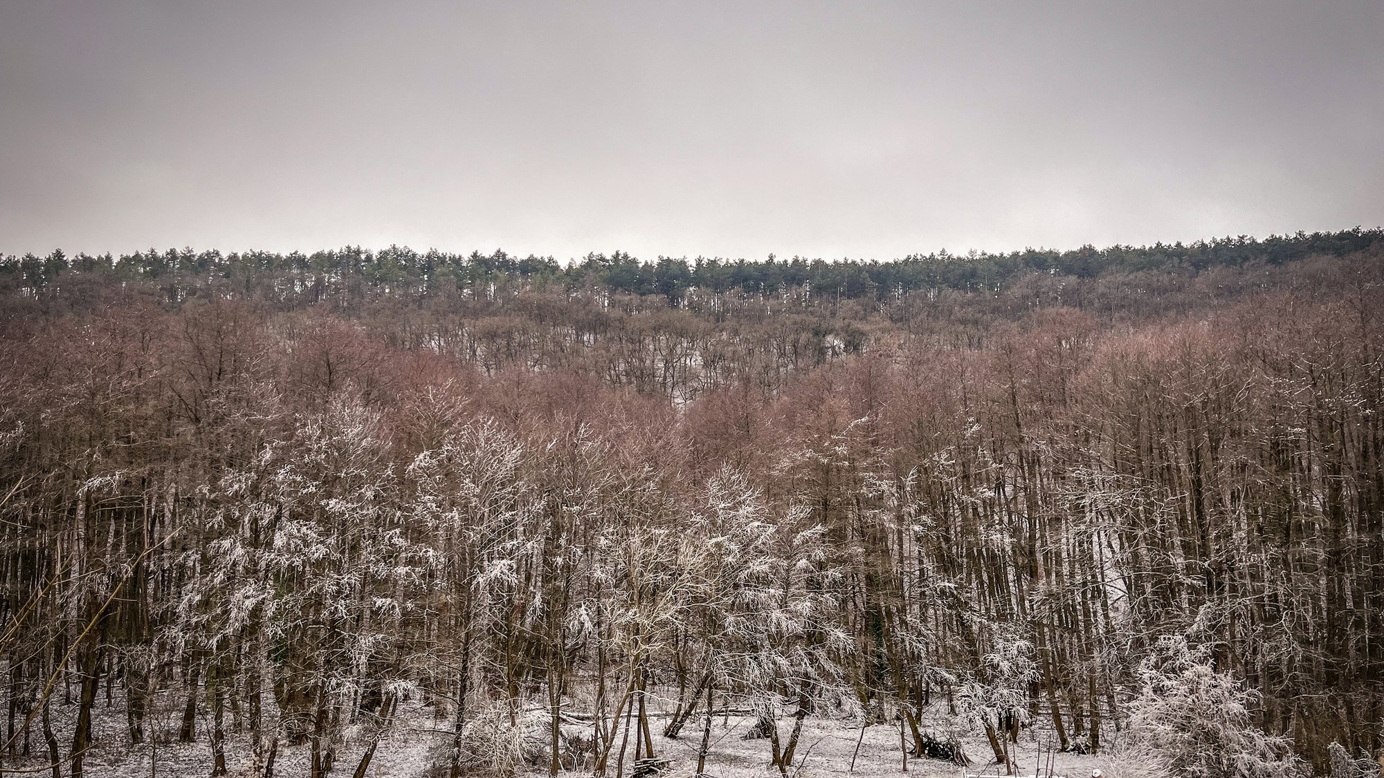 Ilustračná snímka