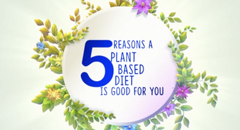 5 reasons why a plant-based nutrition is the healthier choice