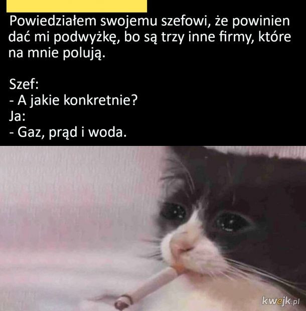 Najlepsze memy o podwyżce. Czasami to śmiech przez łzy