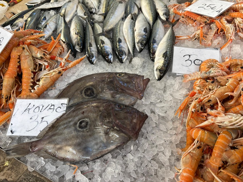 Splićanka Uzinić Mia otkriva kakva je riba najbolja za jelo